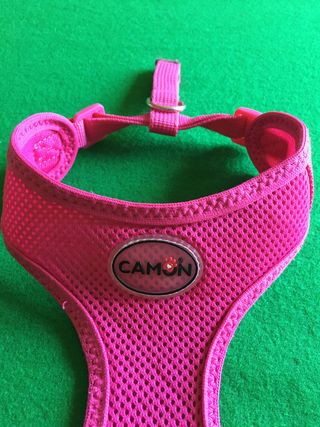 Camon Pettorina "Mesh" fucsia Tg.S