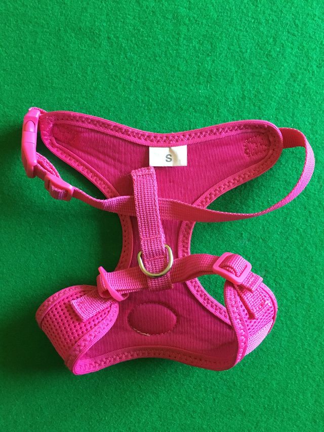 Camon Pettorina "Mesh" fucsia Tg.S