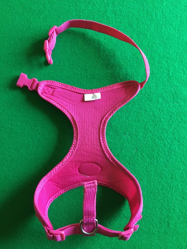 Camon Pettorina "Mesh" fucsia Tg.S