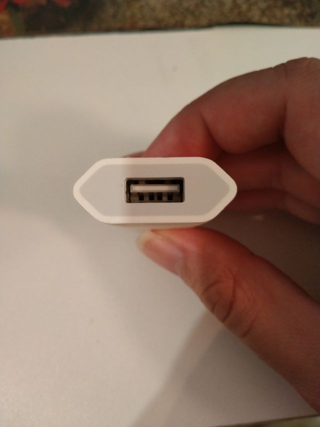 Caricabatterie Apple