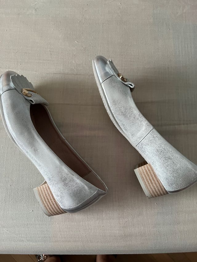 Zapatos plateados
