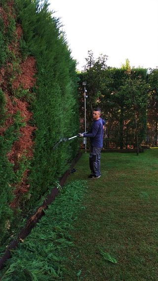 jardinero profesional podas de arizonica 611394812