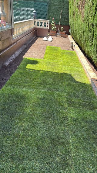 jardinero profesional podas de arizonica 611394812