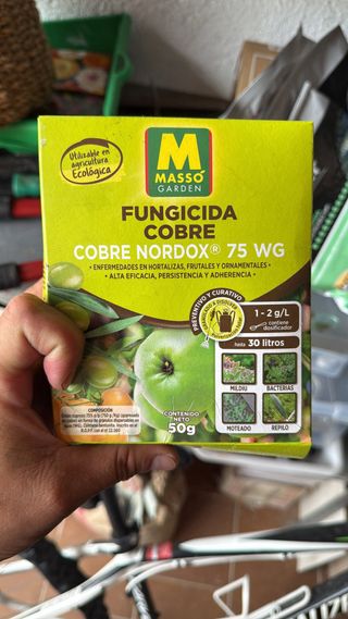 jardinero profesional podas de arizonica 611394812