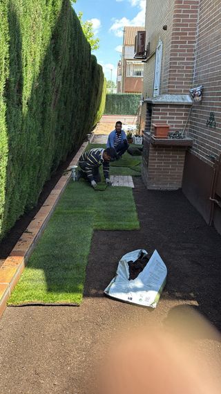 jardinero profesional podas de arizonica 611394812