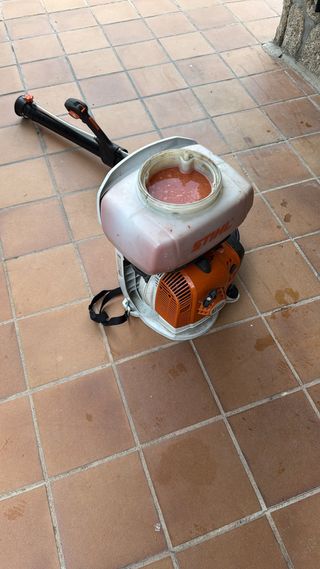 jardinero profesional podas de arizonica 611394812