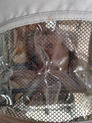 Silla de paseo bebe/niño yiyi boop