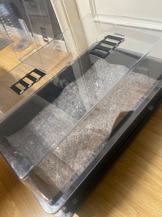 10u propagador pro, esquejes, injertos,