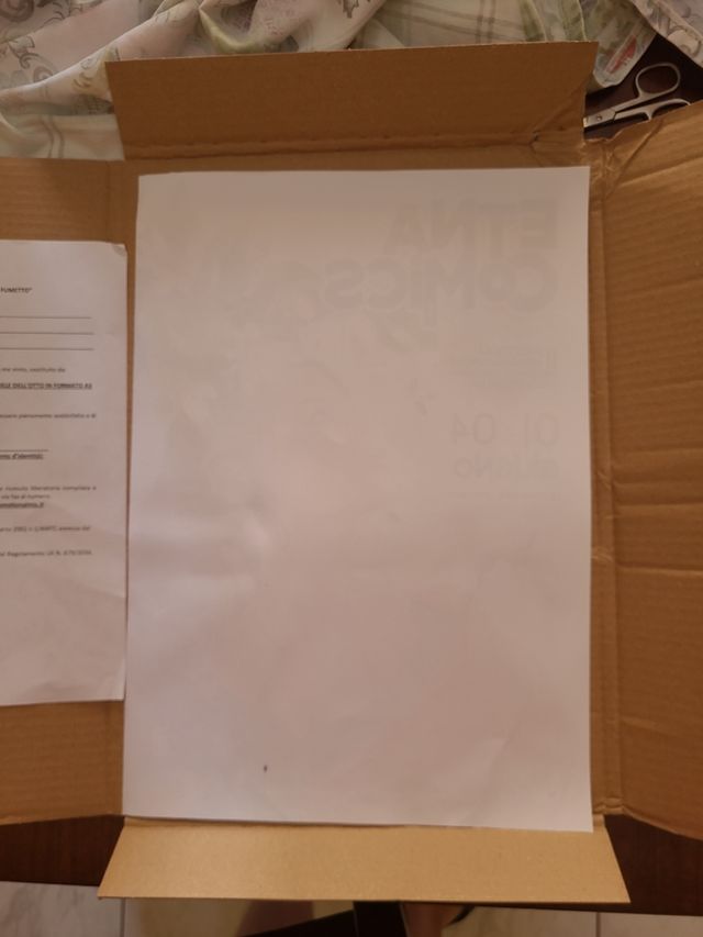 Litografia  Gabriele Dell'Otto