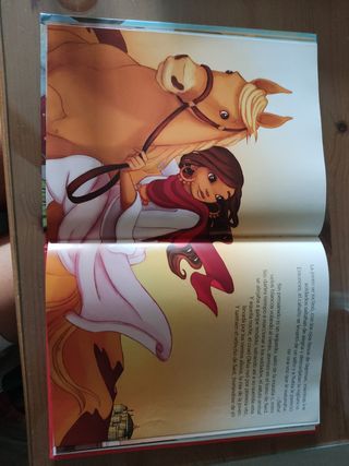 LIBRO 15 HISTORIAS DE CABALLOS
