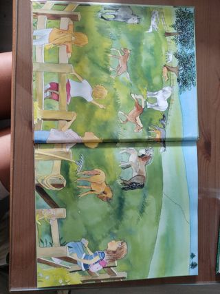 LIBRO CUENTOS SE PONIS