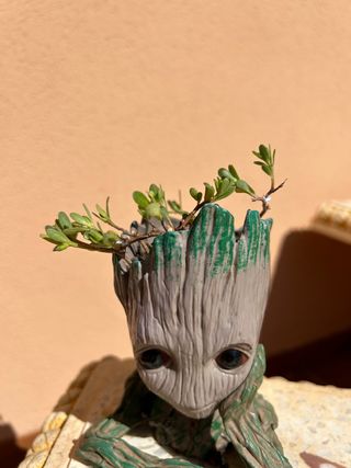 Macetero Baby Groot Guardianes de la Galaxia