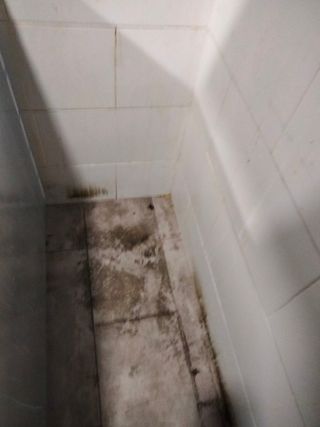 limpieza profecional
