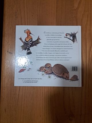 libro infantil