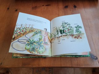 libro infantil