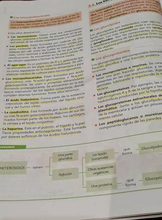 Biología bachillerato 2 Anaya