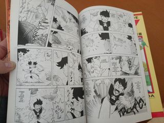 Dragon Quest - Las aventuras de Fly