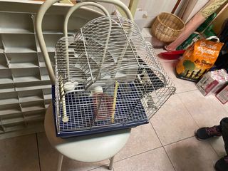 jaula para pajaros