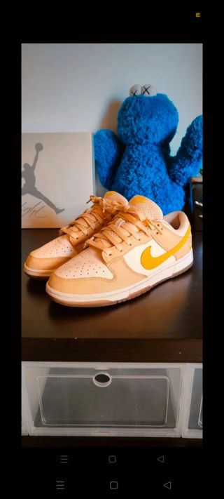 Nike dunk lemon 42'5