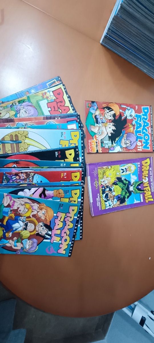 Dragon Fall - Hi No Tori Studio