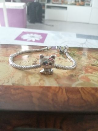 Charm gato kitty