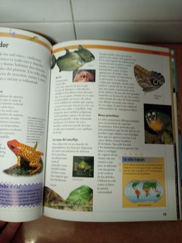 Enciclopedia junior de animales