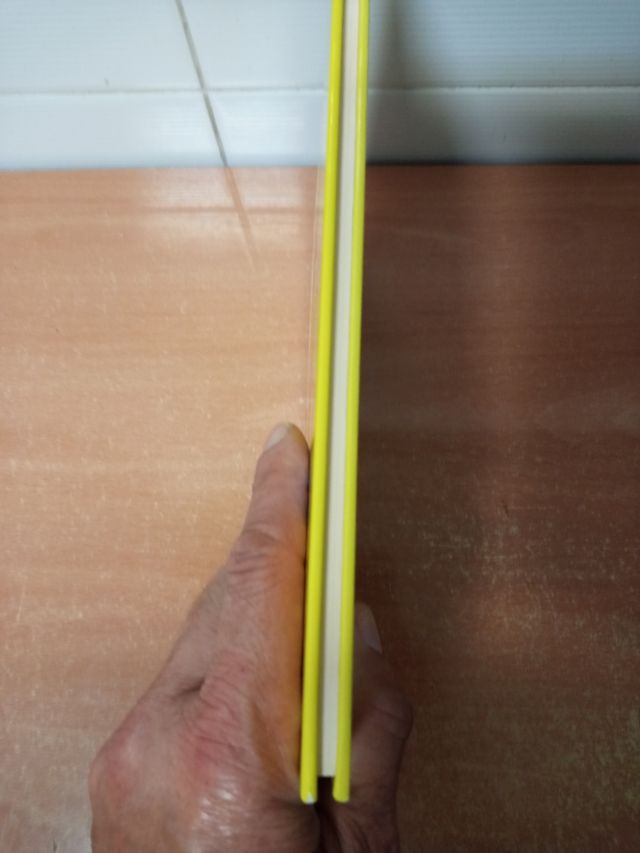 Kika y Dani (en inglés)