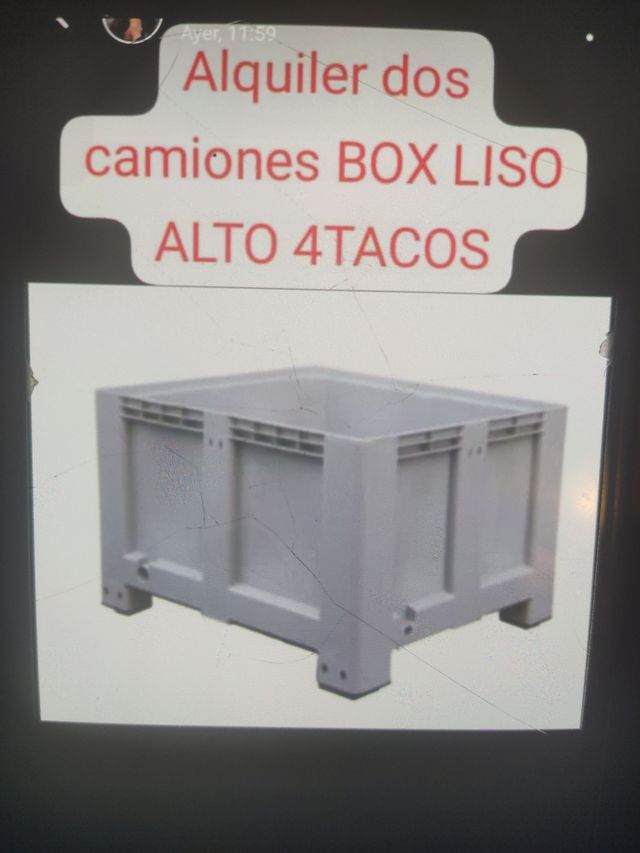 Box alto liso alquiler
