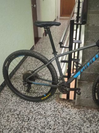 Bicicleta de montaña