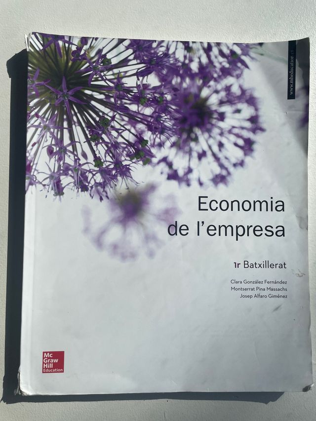 economía de la empresa primero de bachillerato