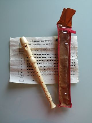 Flauta escolar