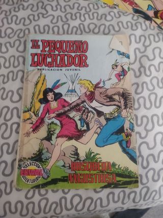 Lote tebeos/comics antiguos