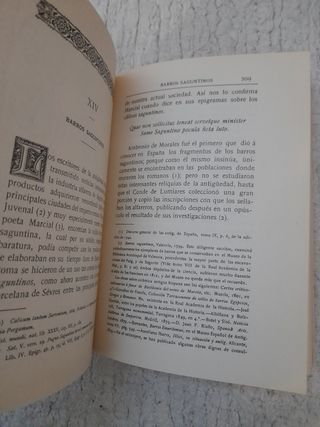 Sagunto, su historia y sus monumentos