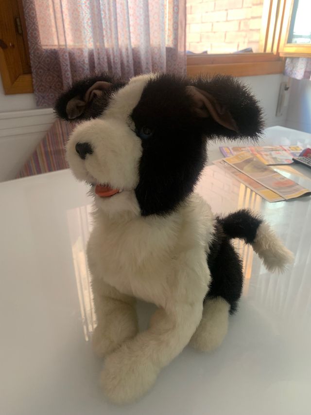 Perro peluche