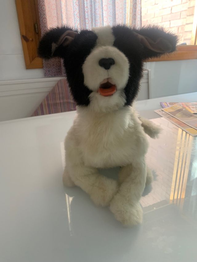Perro peluche