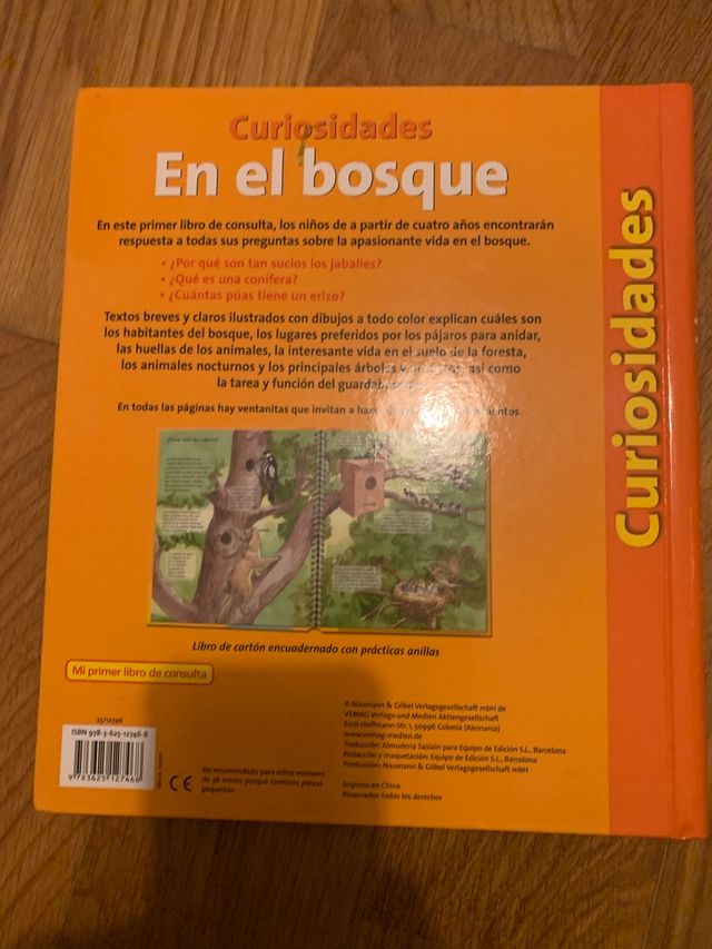 curiosidades en el bosque