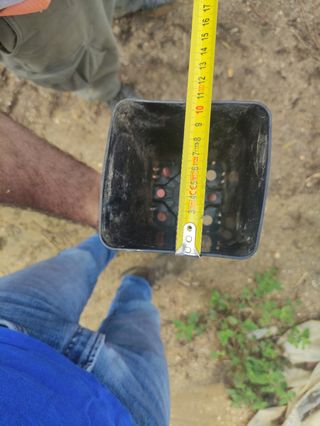 Macetas de 2 litros de capacidad