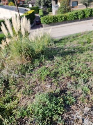 Terreno en venta