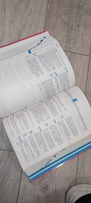 Diccionario Primaria Lengua española