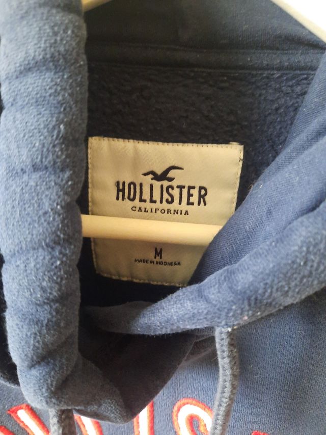 Sudadera Hollister