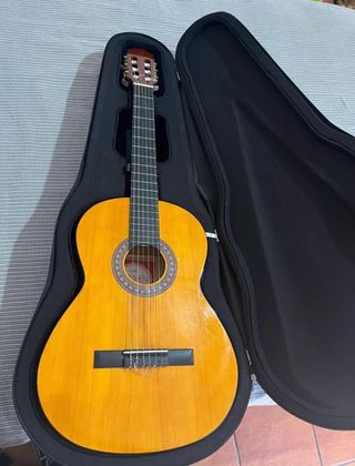 Funda de Guitarra flamenca