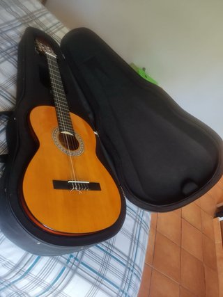 Funda de Guitarra flamenca