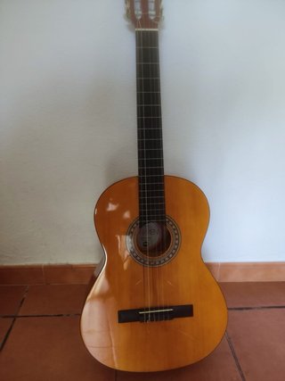 Funda de Guitarra flamenca