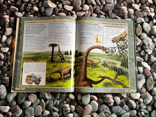 Libro de dinosaurios coleccionista