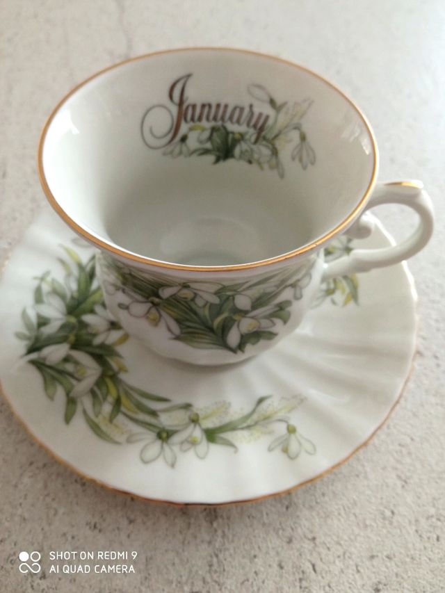 Tazza Gennaio Royal Seltman