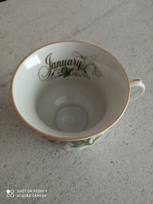 Tazza Gennaio Royal Seltman