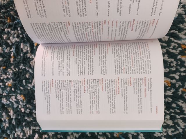 Diccionario Xerais de Primaria