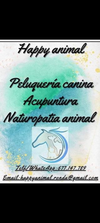 Peluquería canina