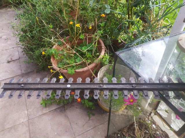 Recorta setos black decker