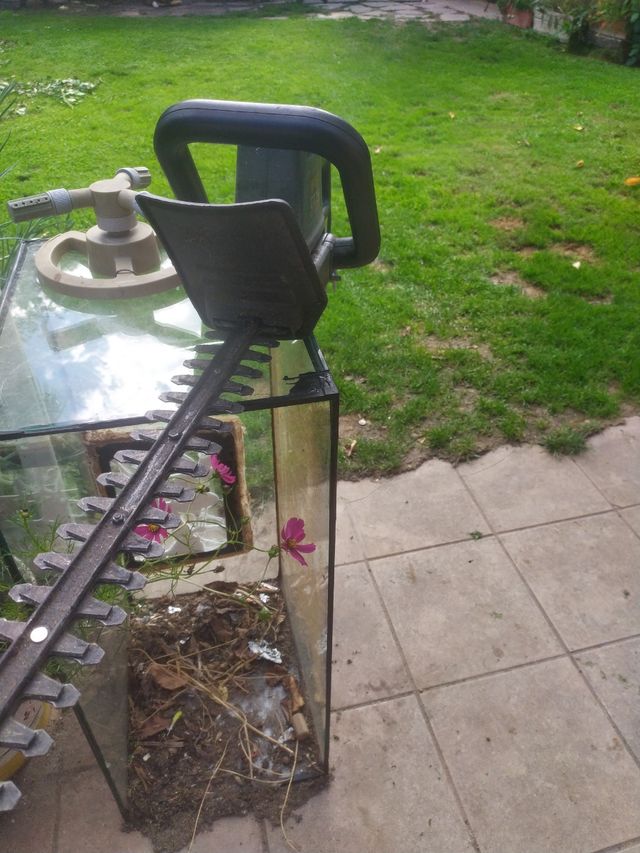 Recorta setos black decker